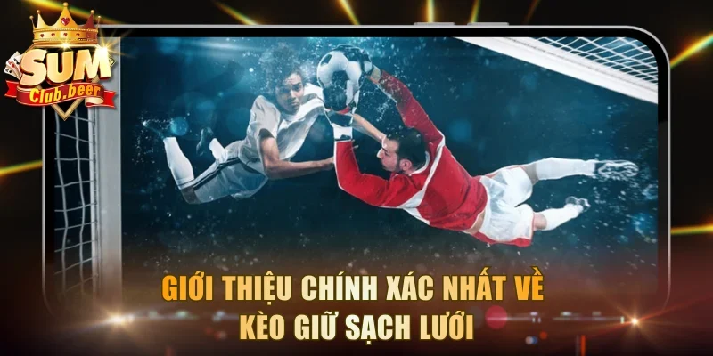 Giới thiệu chính xác nhất về kèo giữ sạch lưới