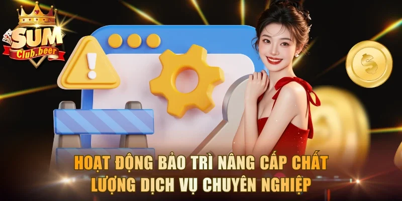 Hoạt động bảo trì nâng cấp chất lượng dịch vụ chuyên nghiệp